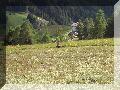 100_3013.jpg