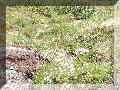 100_3096.jpg