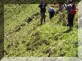 100_3101.jpg