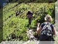 100_3102.jpg