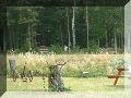 DSCF0103.JPG