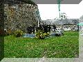 P1010364.jpg