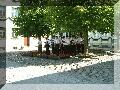 DSCF0010.JPG